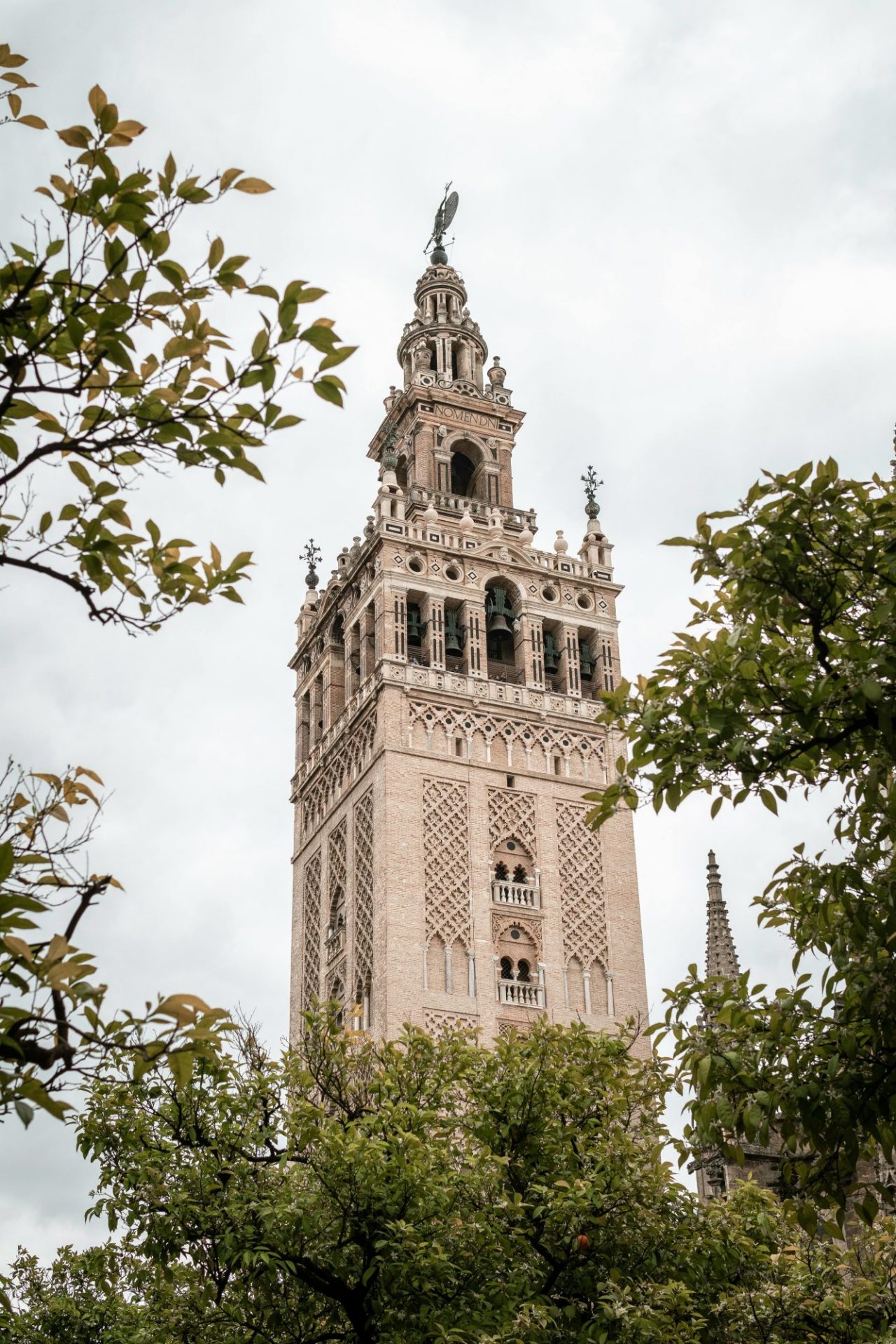 Visit the Cathedral and the Giralda